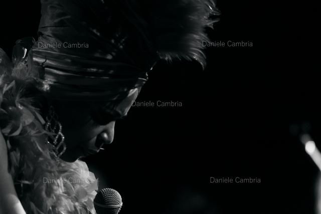 TLB (11)